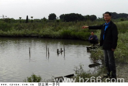 點(diǎn)擊查看源網(wǎng)頁 曹炯