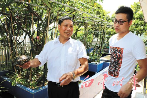 龜鱉養殖走出溫室回歸生態 養殖環保效益高2