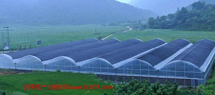 使用大棚種植高吸水吸肥能力的牧草消耗養殖場的糞污，成本低，操作簡單，帶來的效益非常顯著