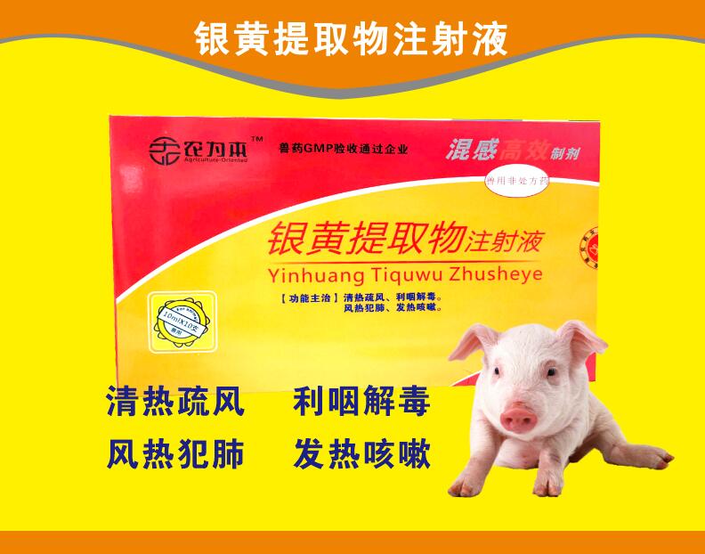 銀黃提取物注射液--混感高效，清熱疏風，利咽解毒，風熱范肺，發熱咳嗽。