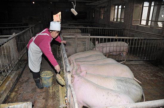 微信圖片_20240809111842.jpg 微信圖片_20240809111842.jpg