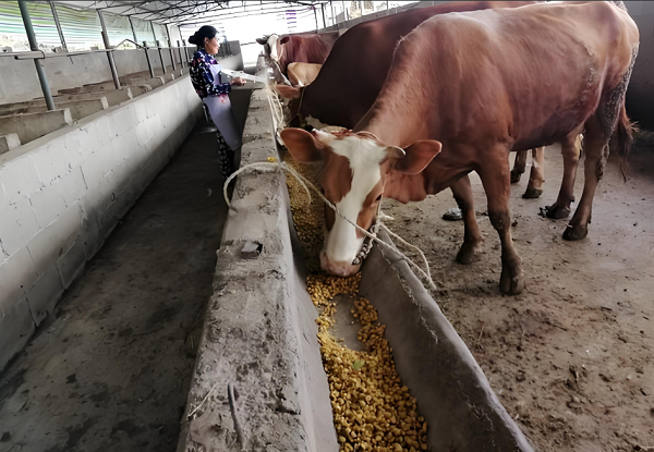 1724076344020.png 1724076344020.png