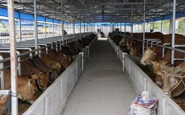 1724076457057.png 1724076457057.png