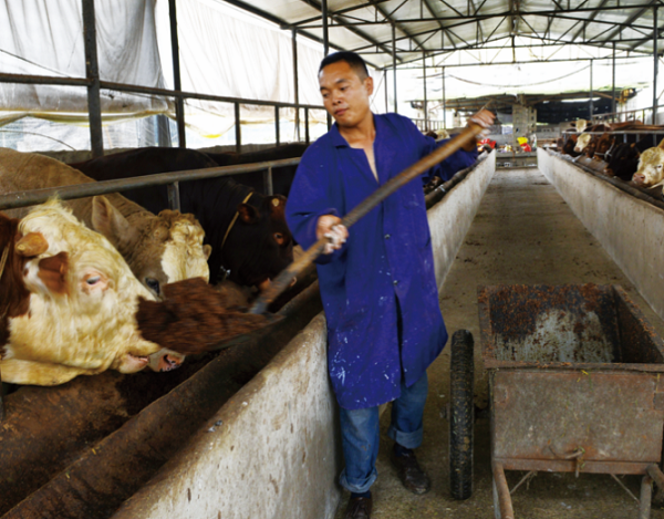 1724076375918.png 1724076375918.png