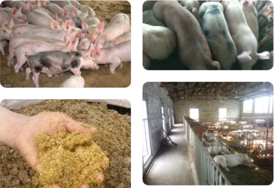 微信截圖_20240820112113.jpg 微信截圖_20240820112113.jpg