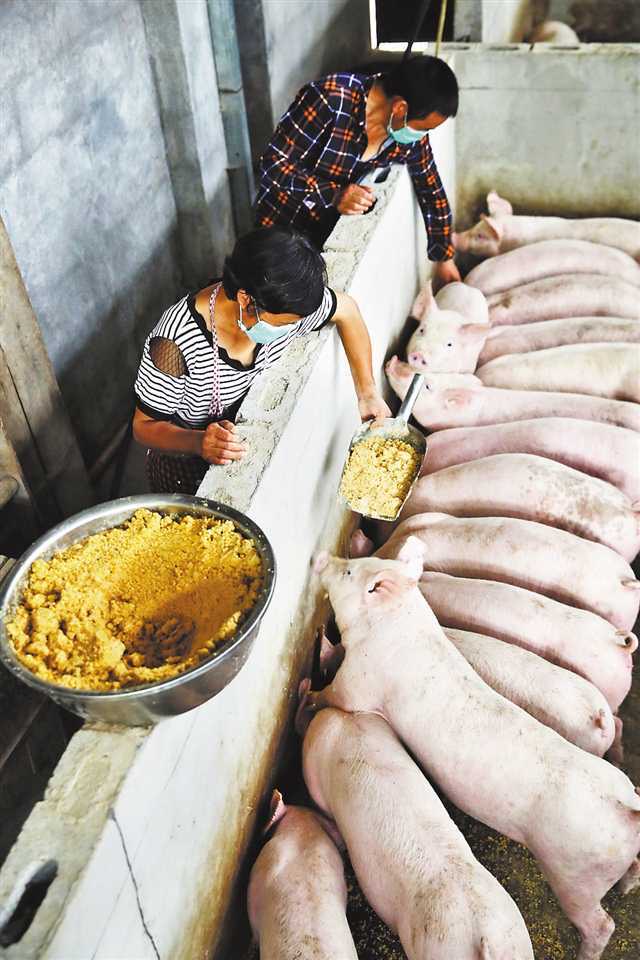 微信圖片_20240820112119.jpg 微信圖片_20240820112119.jpg