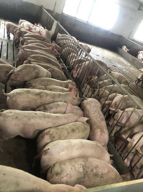 微信圖片_20240820112028.jpg 微信圖片_20240820112028.jpg