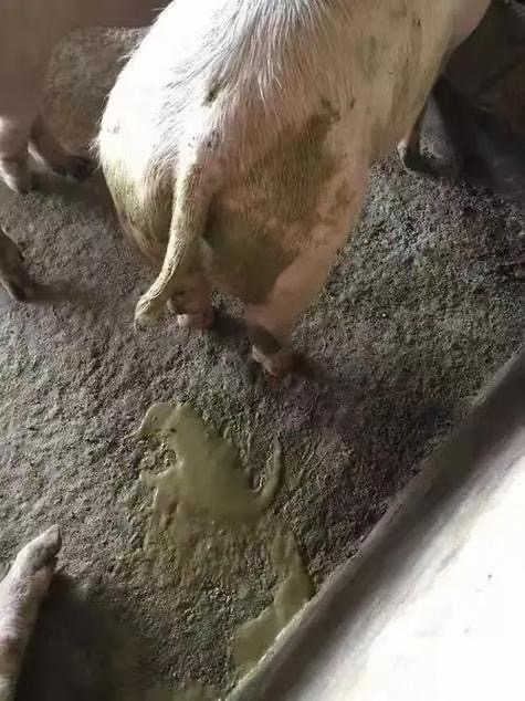 微信圖片_20240821105258.jpg 微信圖片_20240821105258.jpg