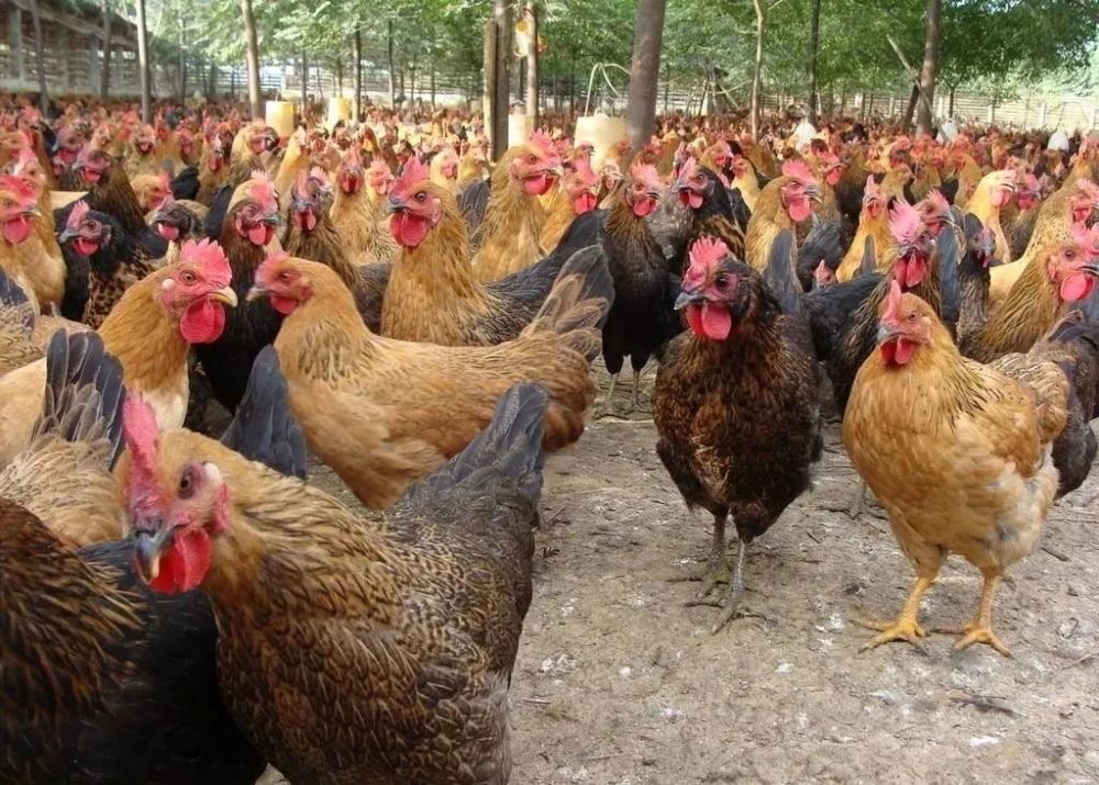 微信圖片_20240821105303.jpg 微信圖片_20240821105303.jpg