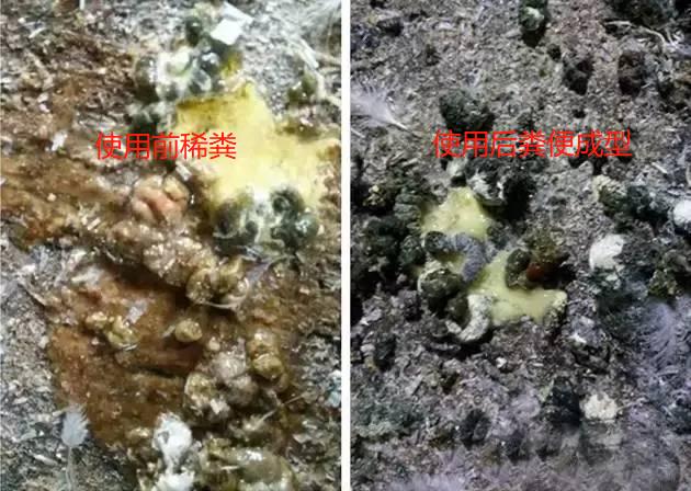 1716880333127937.jpg 1716880333127937.jpg