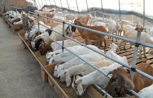 微信圖片_20240821105311.jpg 微信圖片_20240821105311.jpg