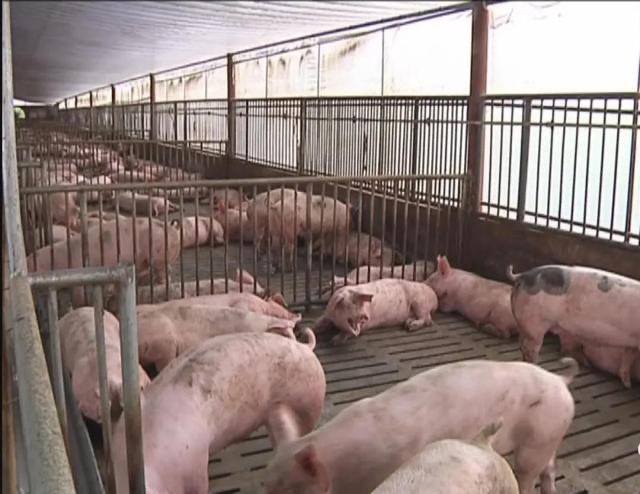 微信圖片_20240821105316.jpg 微信圖片_20240821105316.jpg