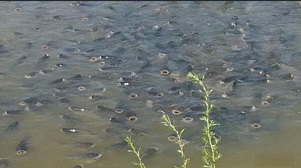 1724238951756.png 1724238951756.png