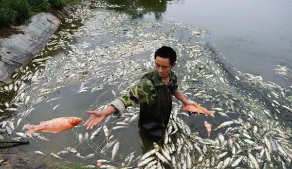 1724239043292.png 1724239043292.png