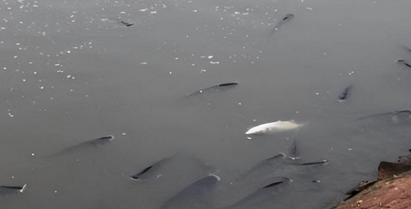 1724239148101.png 1724239148101.png