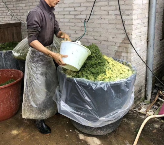 Snipaste_2024-08-22_22-24-30.jpg Snipaste_2024-08-22_22-24-30.jpg