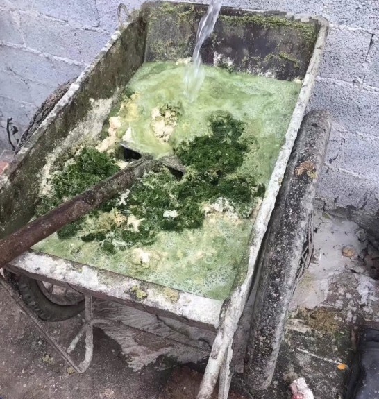 Snipaste_2024-08-22_22-26-00.jpg Snipaste_2024-08-22_22-26-00.jpg