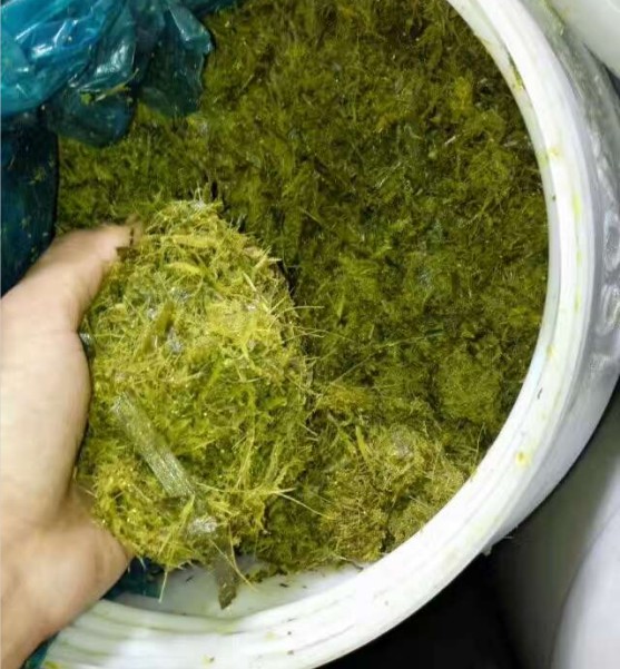 Snipaste_2024-08-22_22-26-57.jpg Snipaste_2024-08-22_22-26-57.jpg