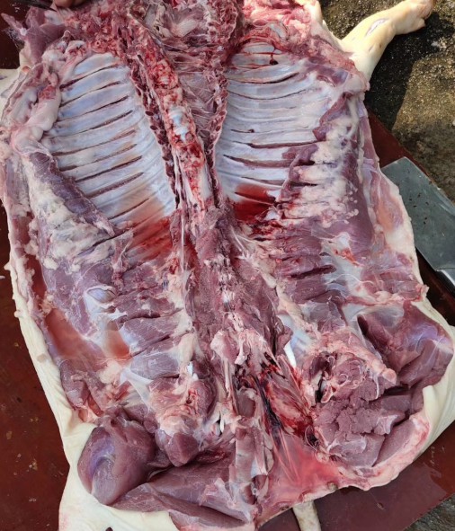 Snipaste_2024-08-22_22-32-31.jpg Snipaste_2024-08-22_22-32-31.jpg