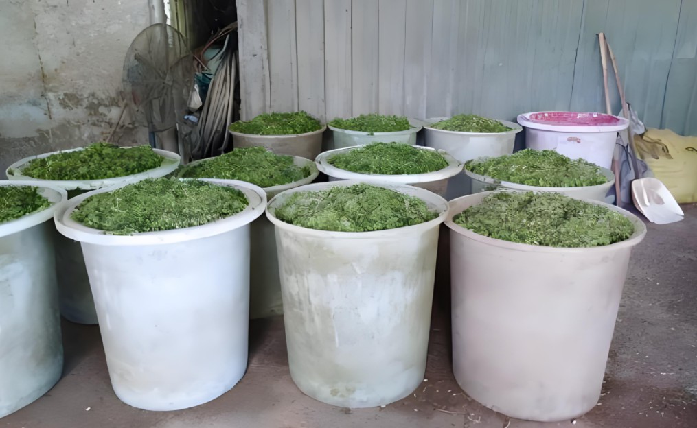 Snipaste_2024-08-22_22-46-47.jpg Snipaste_2024-08-22_22-46-47.jpg