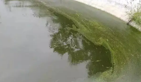 1724828748136.png 1724828748136.png