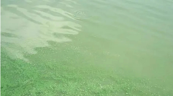 1724828799876.png 1724828799876.png