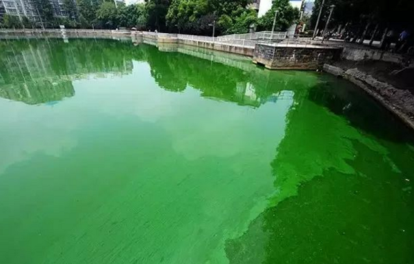 1724828836700.png 1724828836700.png