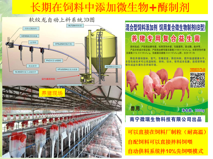 1494948287728786.png 1494948287728786.png