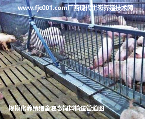 1503827298625940.png 1503827298625940.png