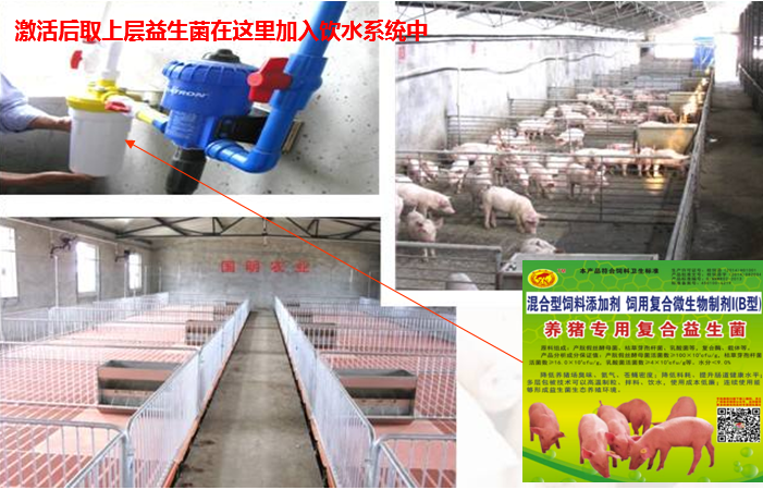 1507601656224927.png 1507601656224927.png