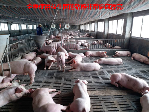 1505618195700127.png 1505618195700127.png