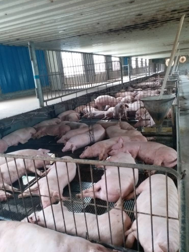 1505618311111409.png 1505618311111409.png