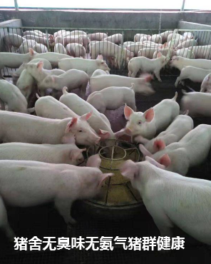 1505618345104481.png 1505618345104481.png