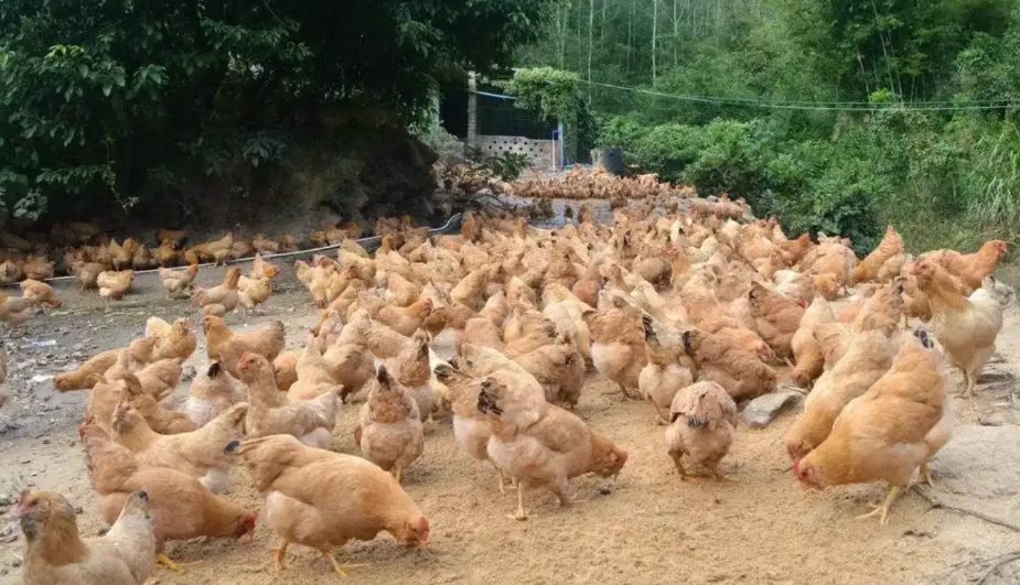 1725201393279.png 1725201393279.png