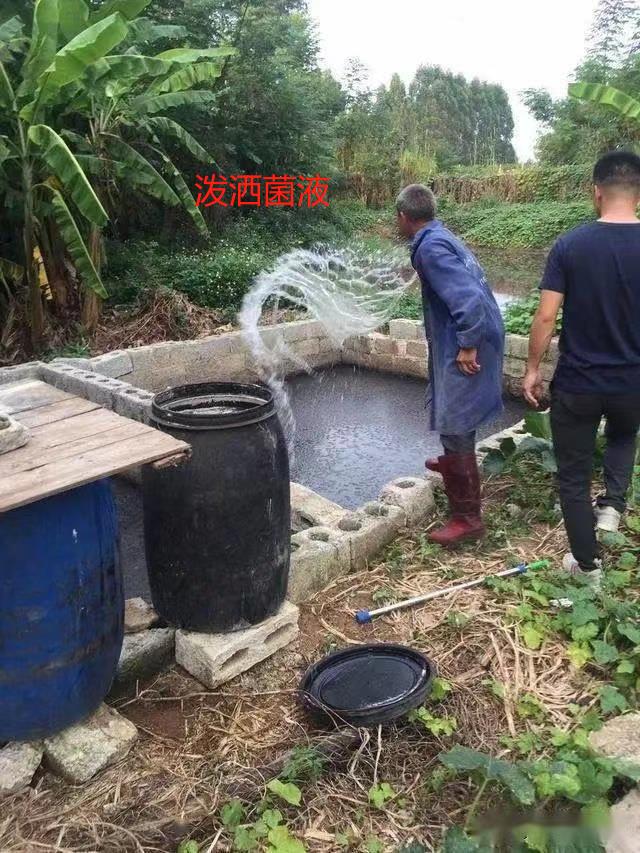 微信圖片編輯_20240904093150.jpg 微信圖片編輯_20240904093150.jpg