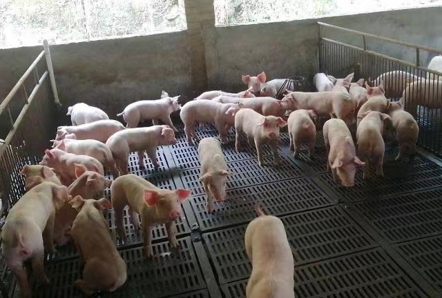 微信圖片_20240905101228.jpg 微信圖片_20240905101228.jpg