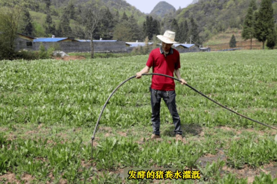 微信截圖_20240905100506.jpg 微信截圖_20240905100506.jpg