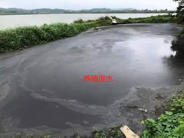 微信圖片編輯_20240915102625.jpg 微信圖片編輯_20240915102625.jpg