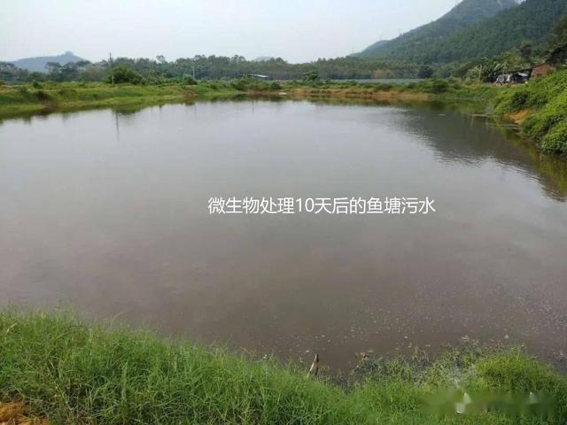 1722930645119327.jpg 1722930645119327.jpg