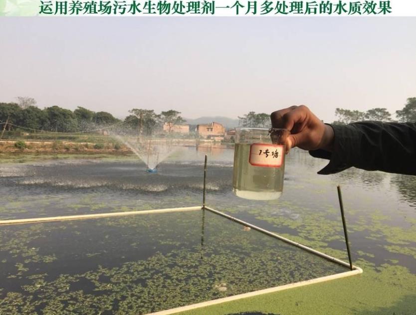 1722930653461085.jpg 1722930653461085.jpg