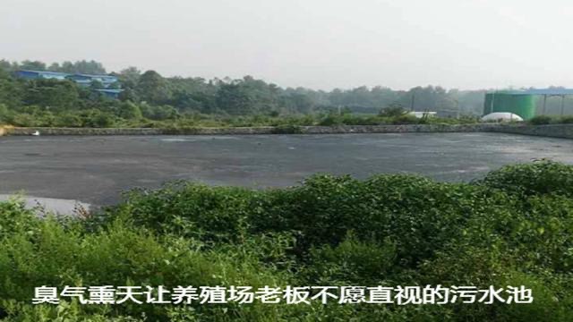 微信圖片_20241007093051.jpg 微信圖片_20241007093051.jpg