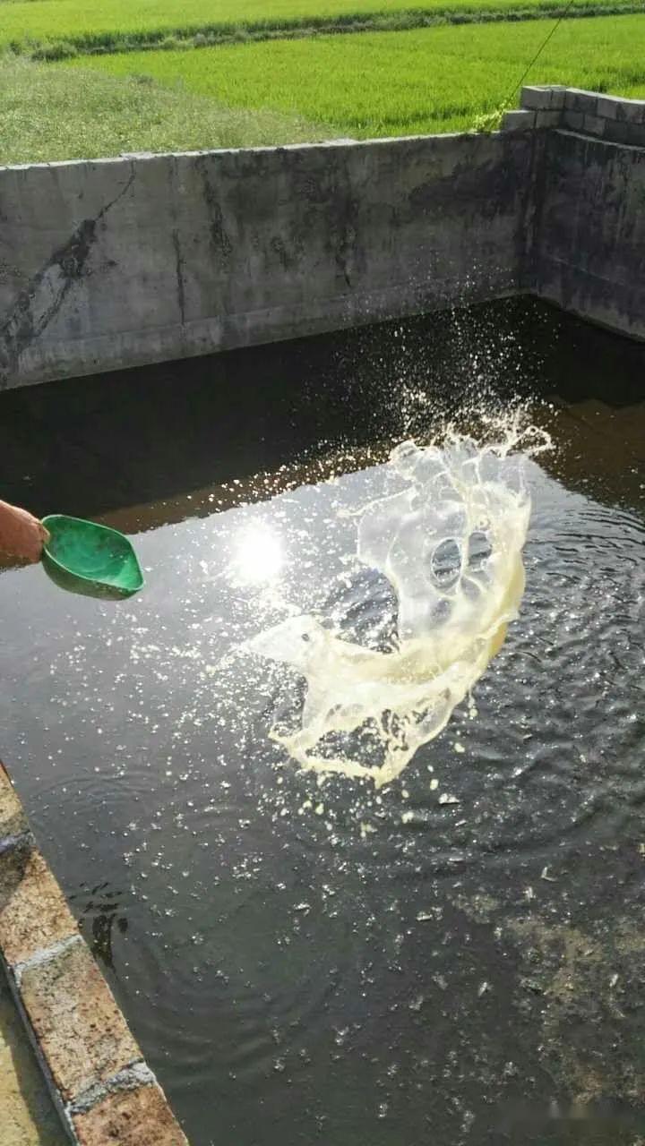 微信圖片_20241007093143.jpg 微信圖片_20241007093143.jpg