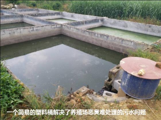 17248080659989393.jpg 17248080659989393.jpg