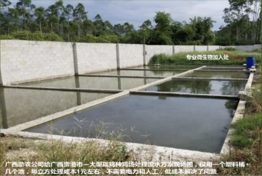 17248086054541273.jpg 17248086054541273.jpg