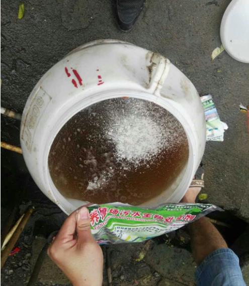 17282653363811094.jpg 17282653363811094.jpg