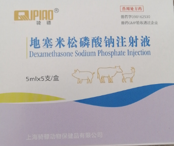 地塞米松-騎.png 地塞米松-騎.png