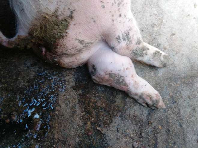 微信圖片_20241015101856.jpg 微信圖片_20241015101856.jpg