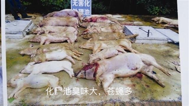 微信圖片_20241016111747.jpg 微信圖片_20241016111747.jpg