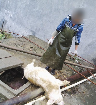 微信圖片_20241016111819.jpg 微信圖片_20241016111819.jpg