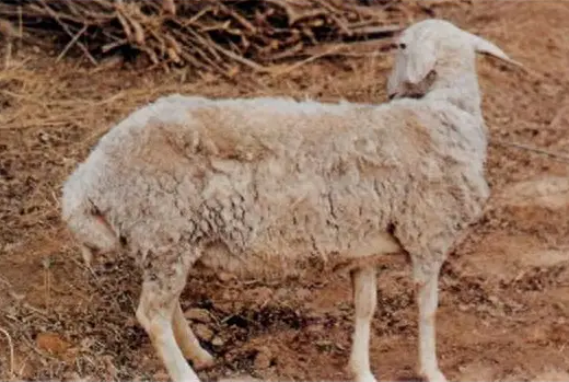 QQ圖片20241017125606.png QQ圖片20241017125606.png